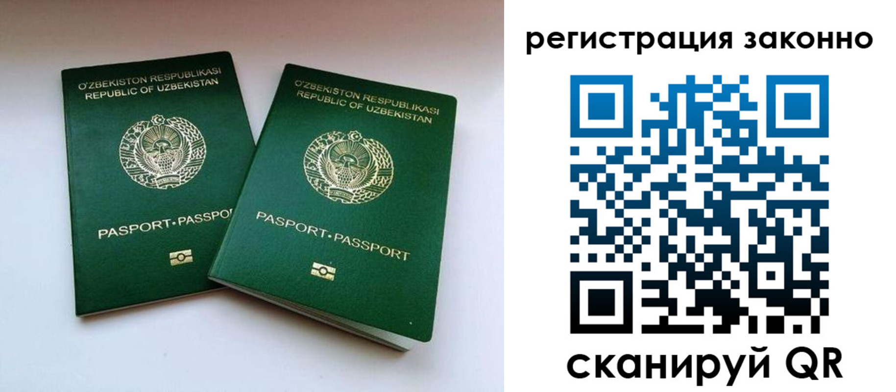 прописка гарантия в Яхроме